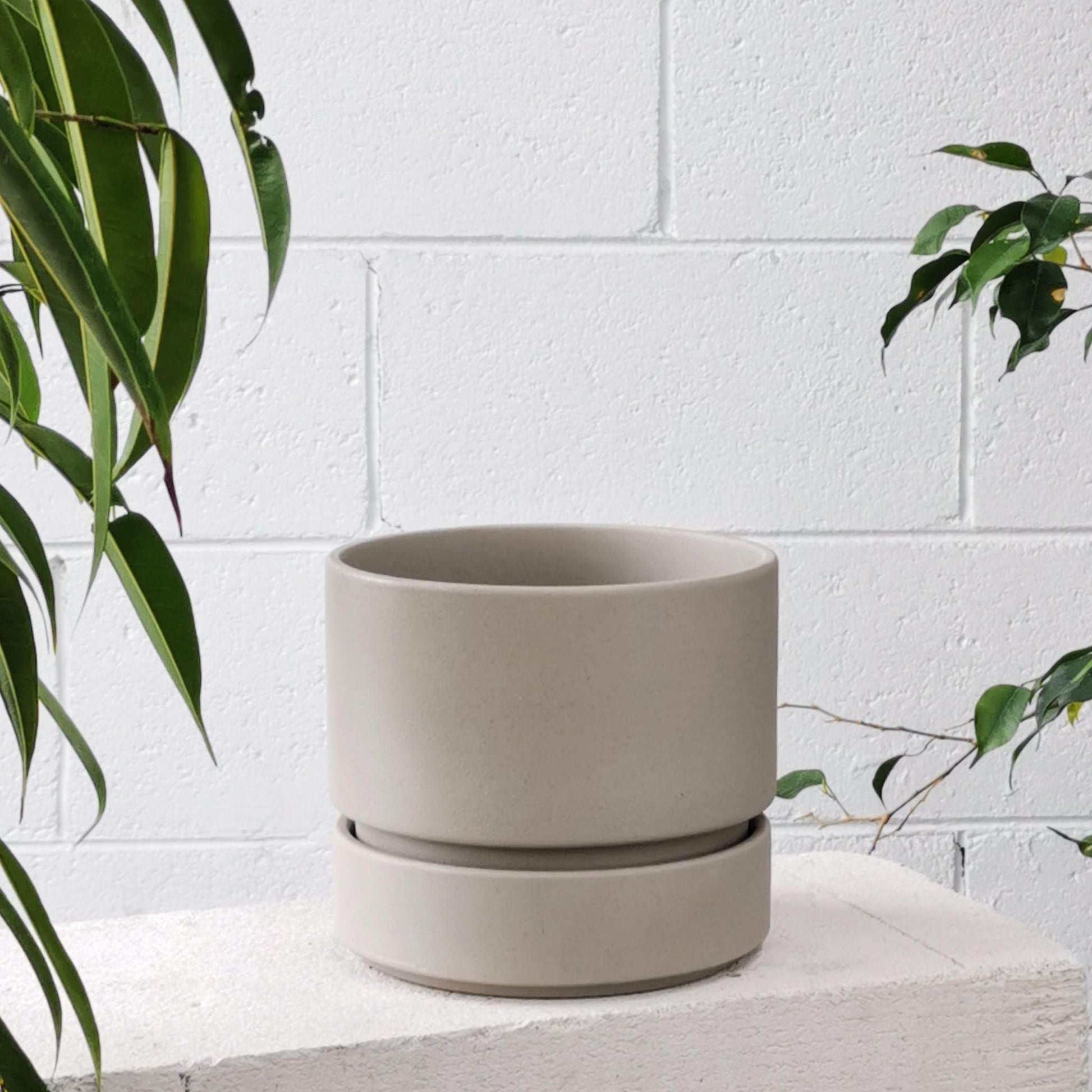 Cora Planter by The Plant Society in Stone - THE PLANT SOCIETY