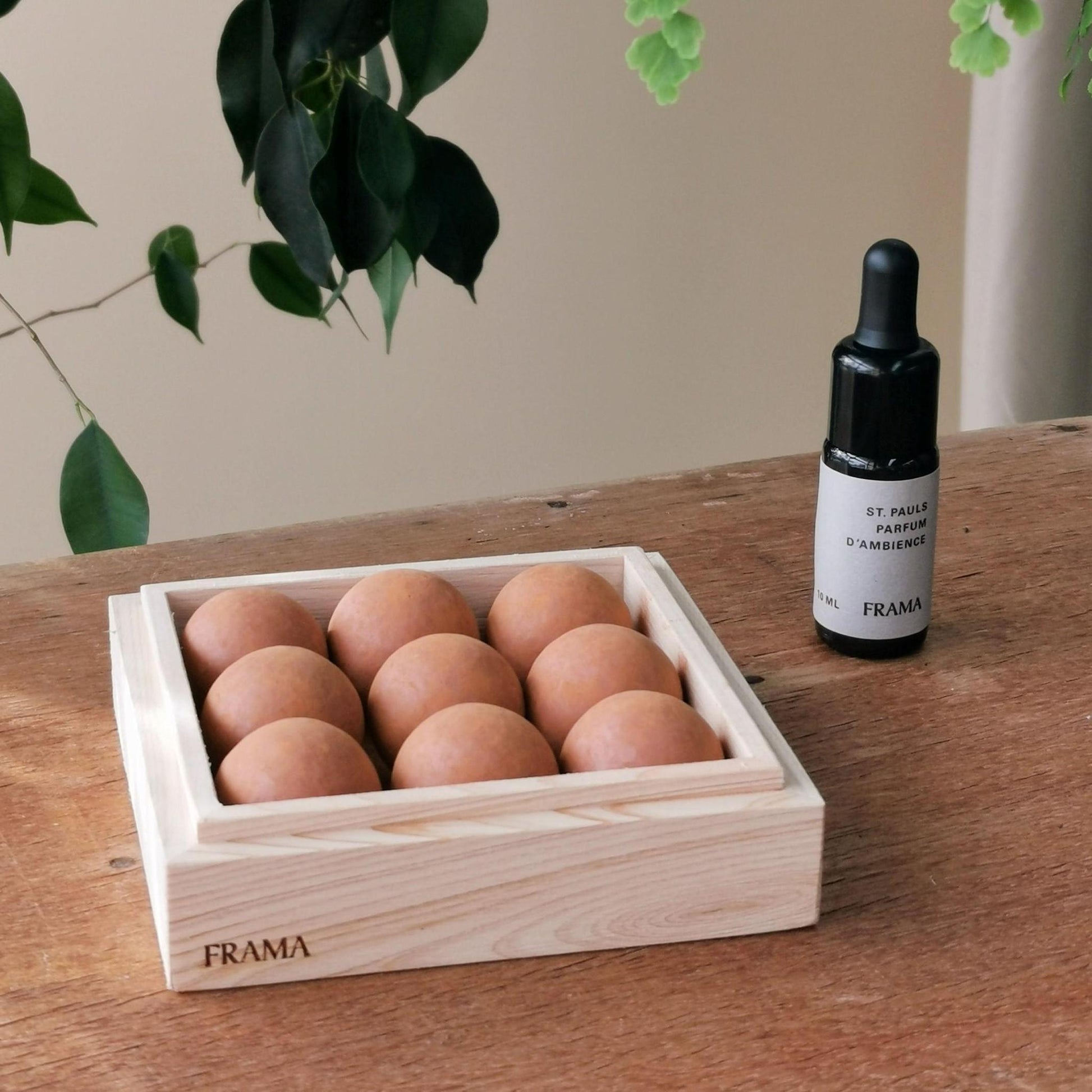 From Soil to Form | St. Pauls By FRAMA - THE PLANT SOCIETY
