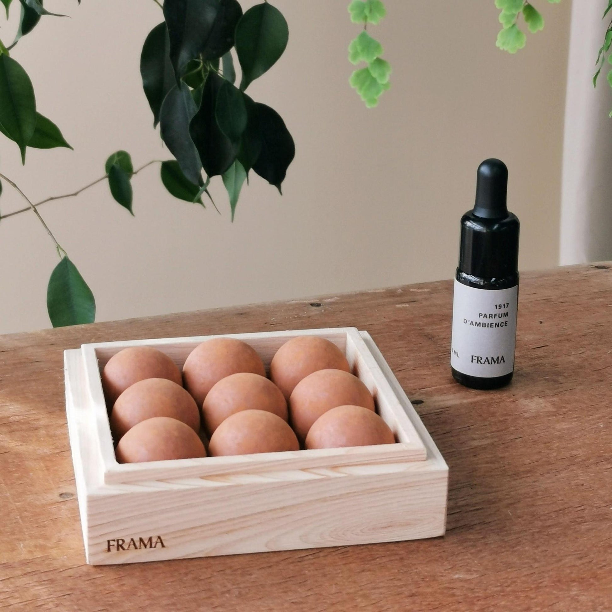 From Soil to Form | 1917 By FRAMA - THE PLANT SOCIETY