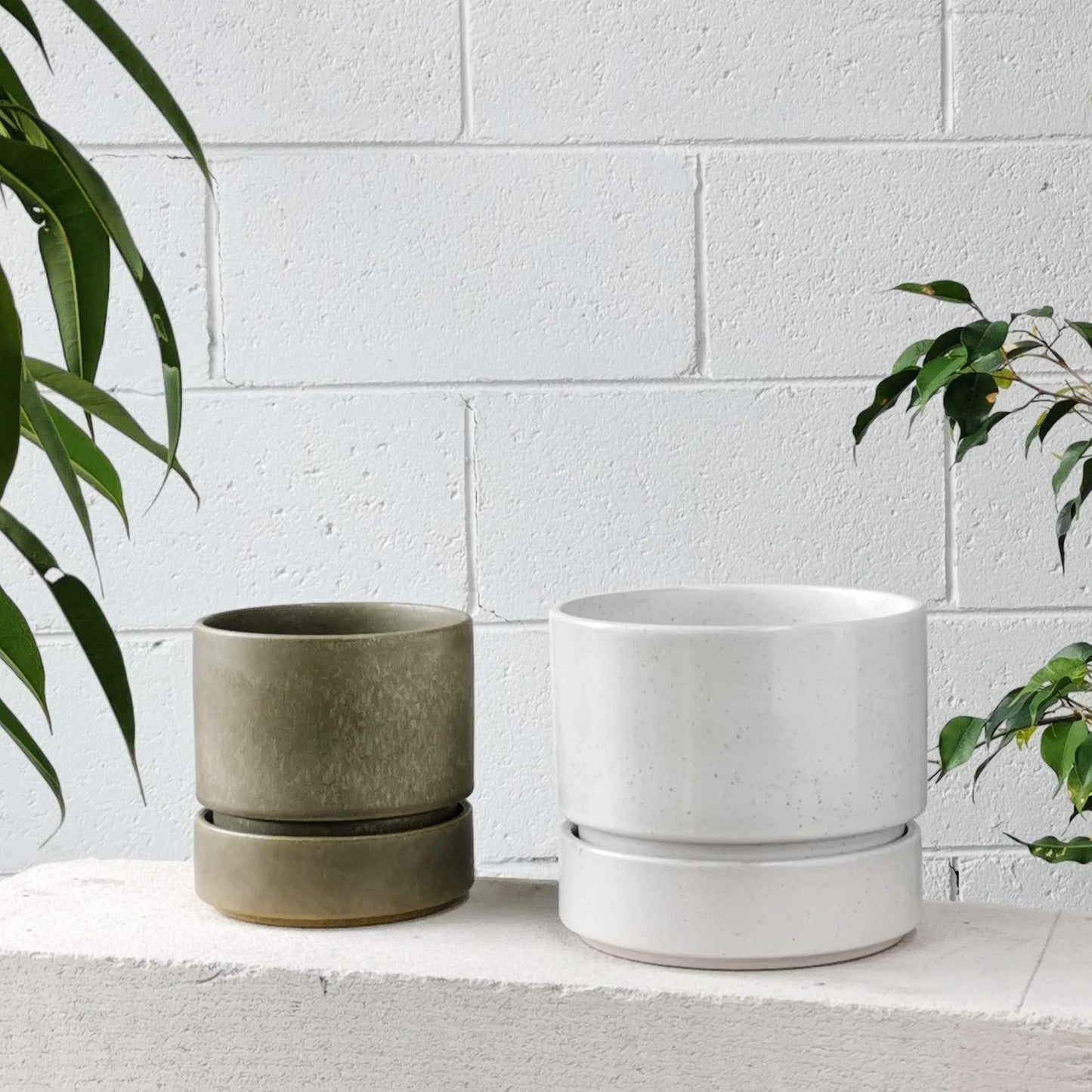 Cora Planter by The Plant Society in Quartz - Gloss - THE PLANT SOCIETY