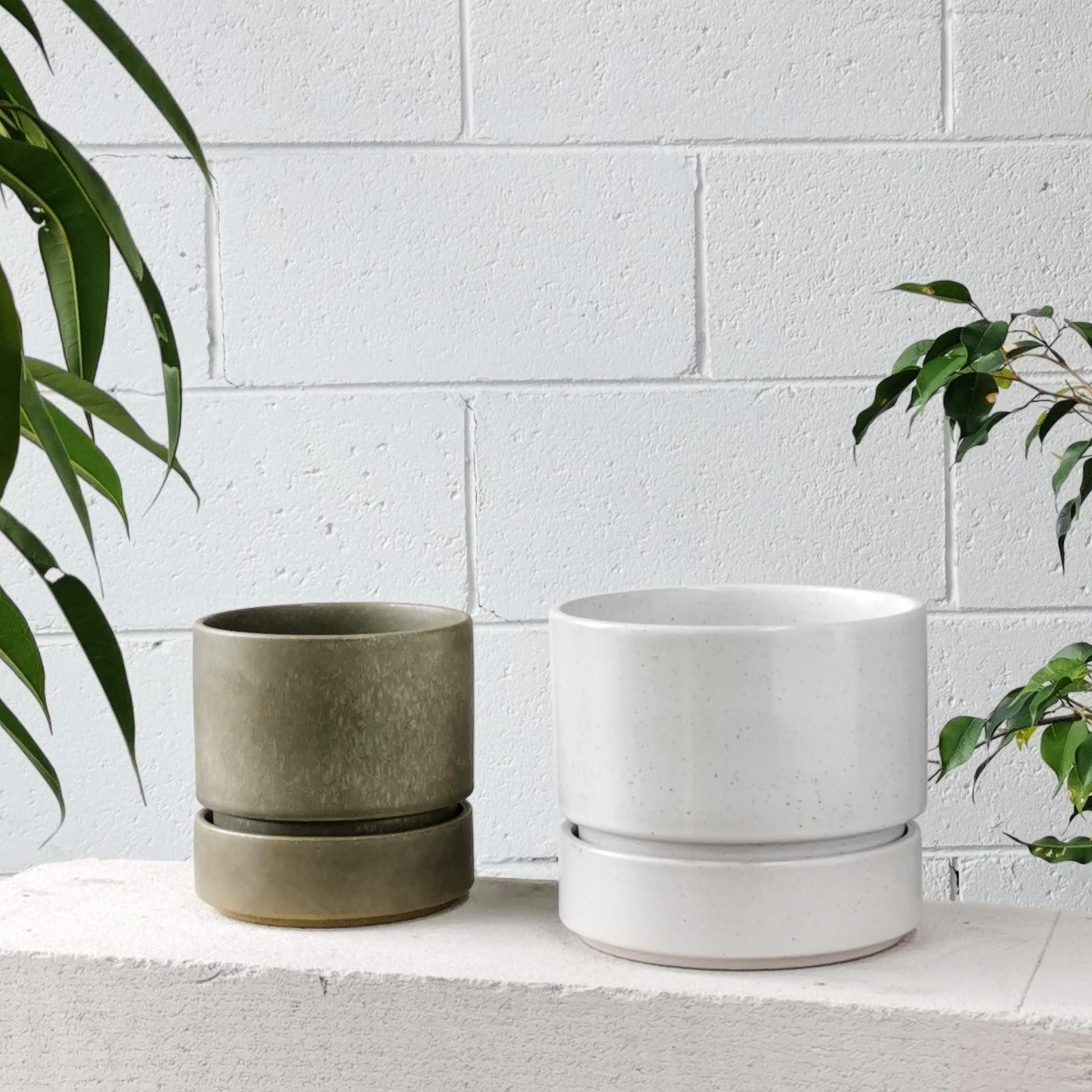 Cora Planter by The Plant Society in Quartz - Gloss - THE PLANT SOCIETY