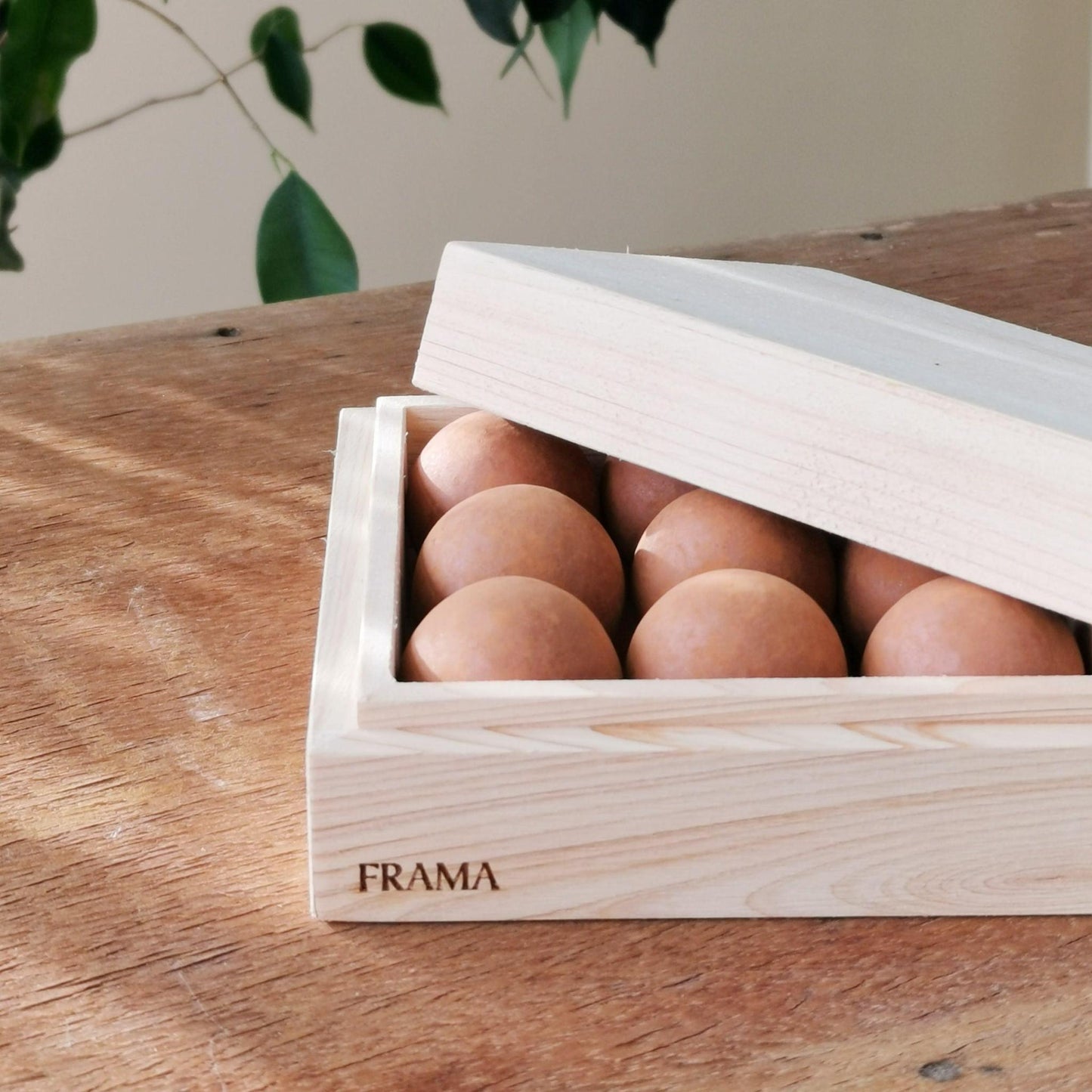 From Soil to Form | Beratan By FRAMA - THE PLANT SOCIETY