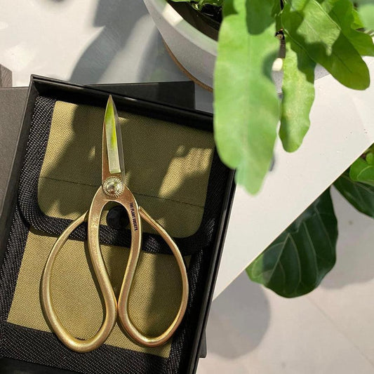 The Plant Society x Flower Shears - THE PLANT SOCIETY