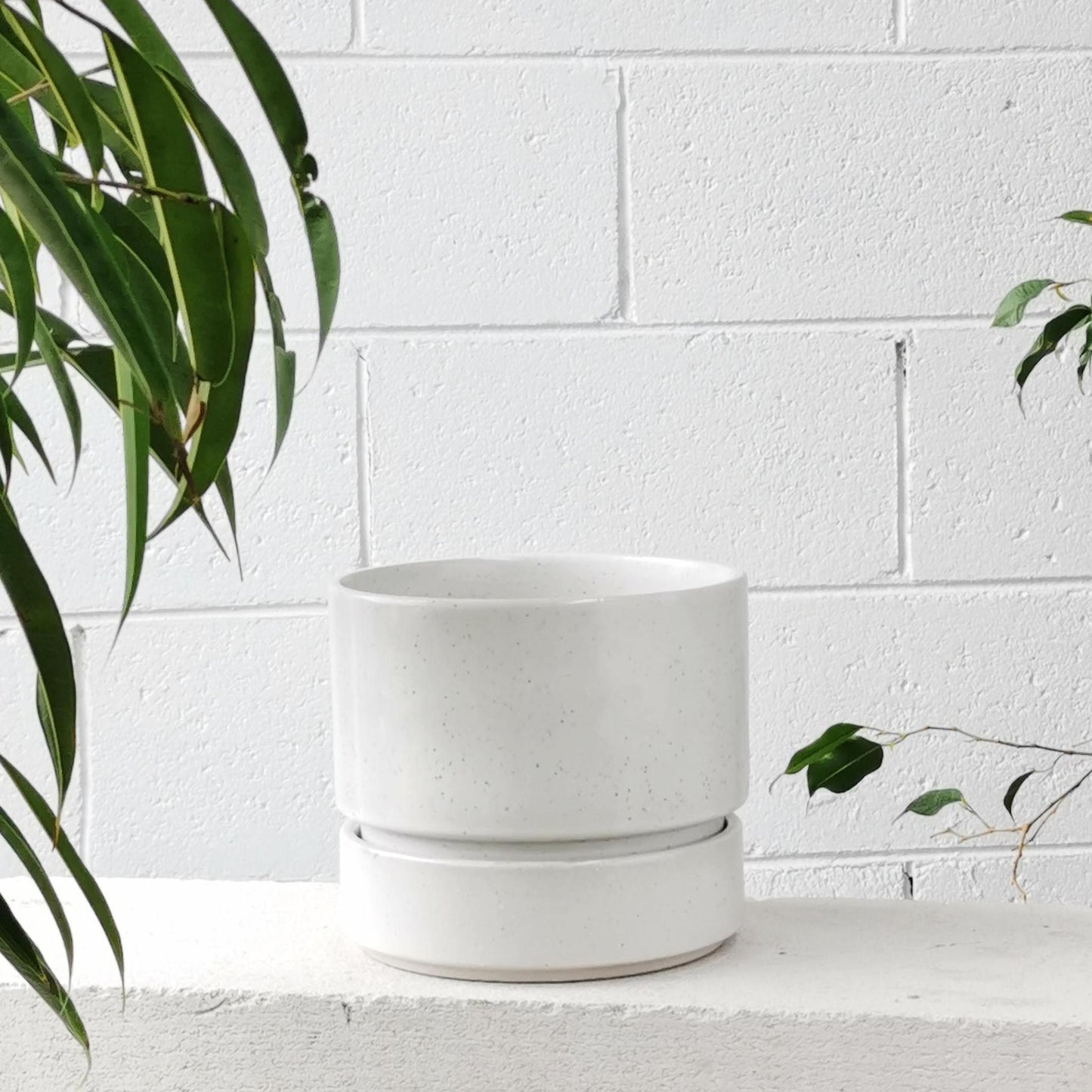 Cora Planter by The Plant Society in Quartz - Matt - THE PLANT SOCIETY