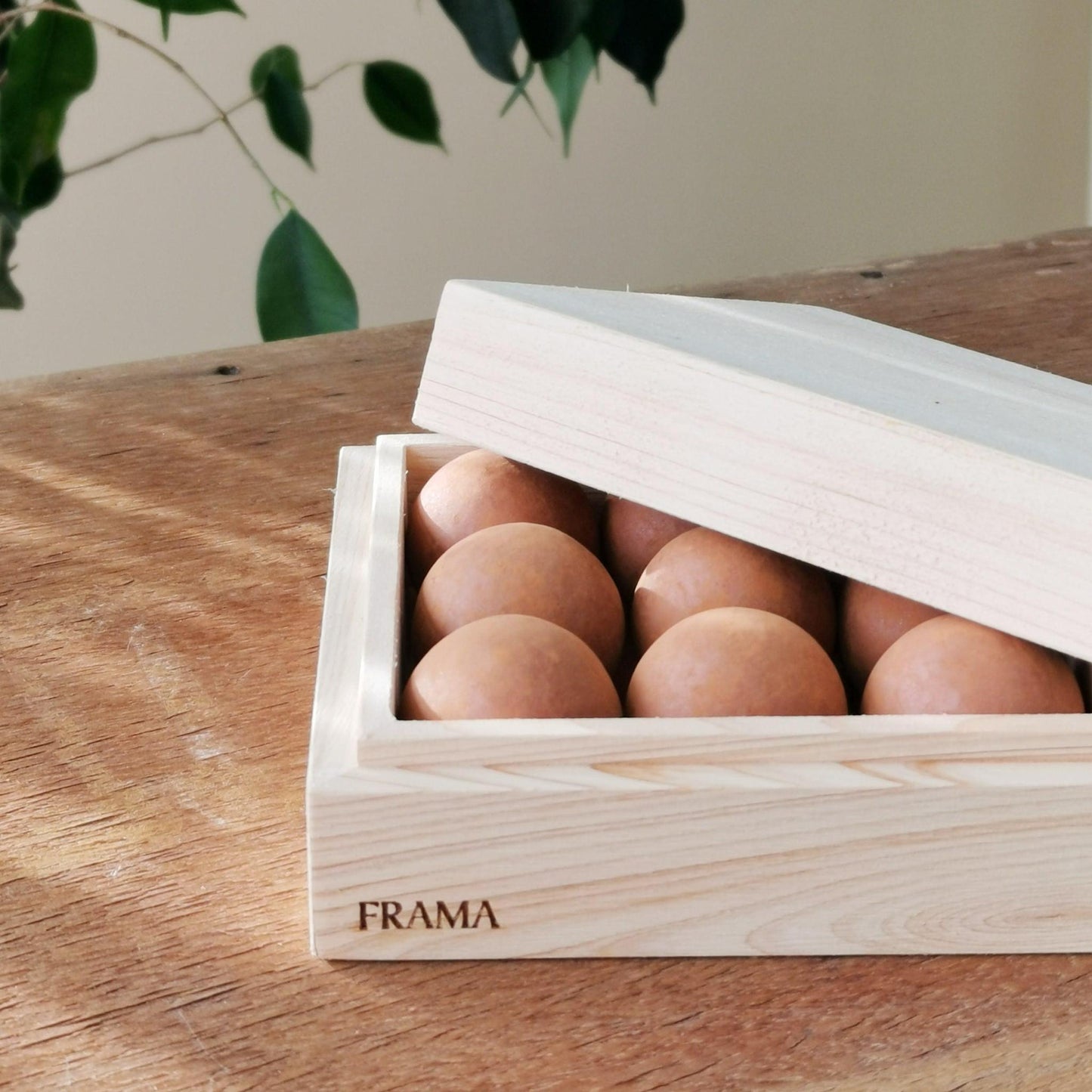 From Soil to Form | St. Pauls By FRAMA - THE PLANT SOCIETY