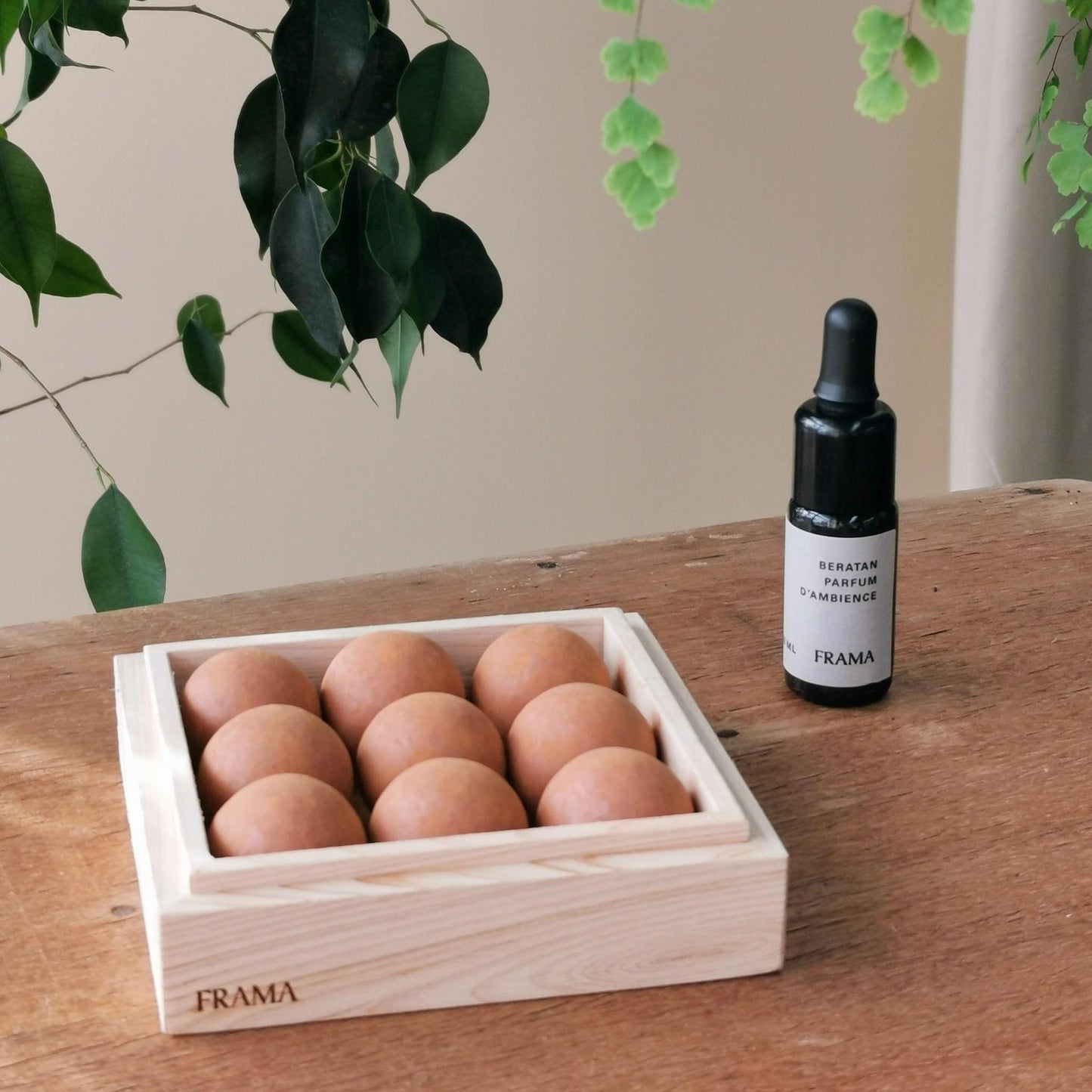 From Soil to Form | Beratan By FRAMA - THE PLANT SOCIETY