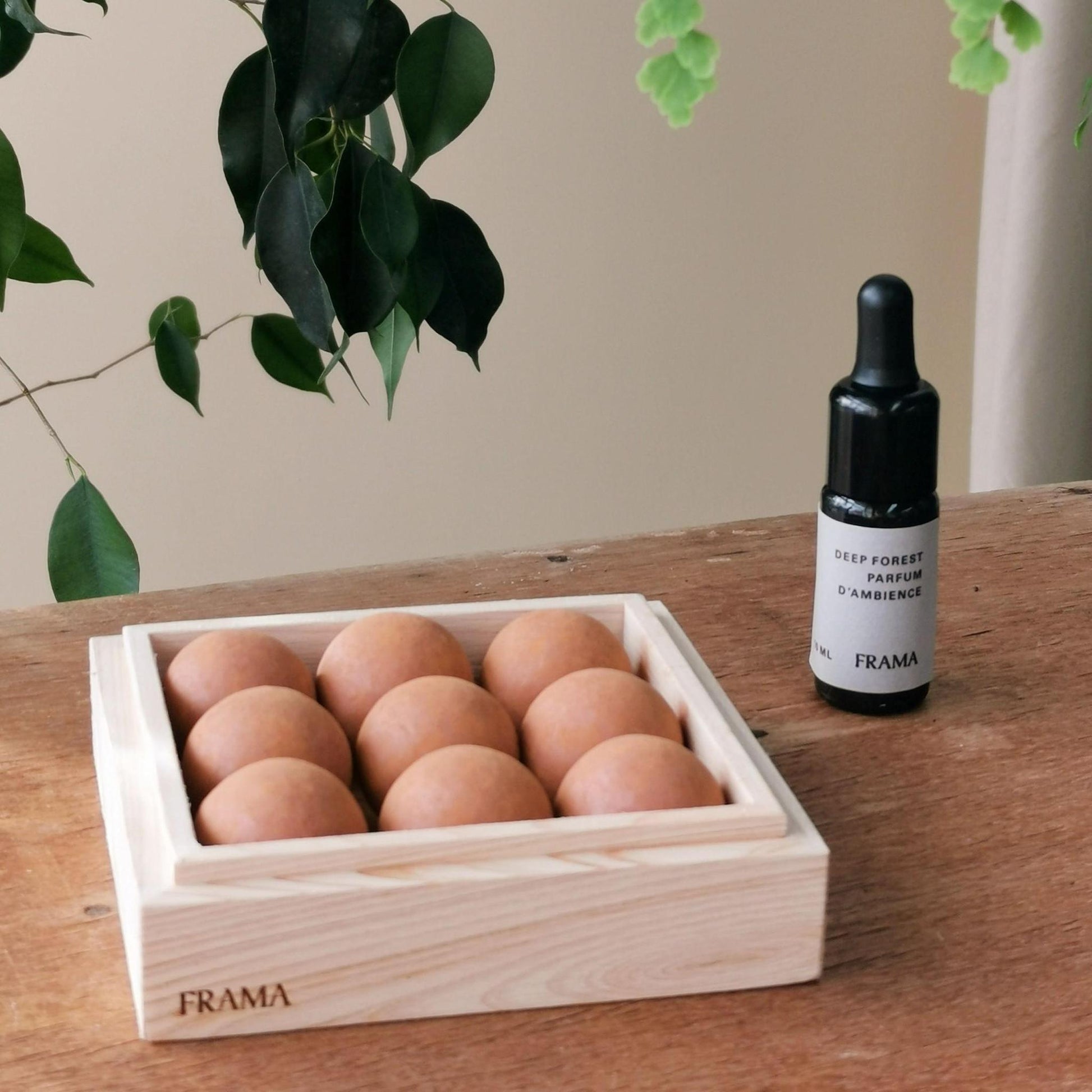 From Soil to Form | Deep Forest By FRAMA - THE PLANT SOCIETY