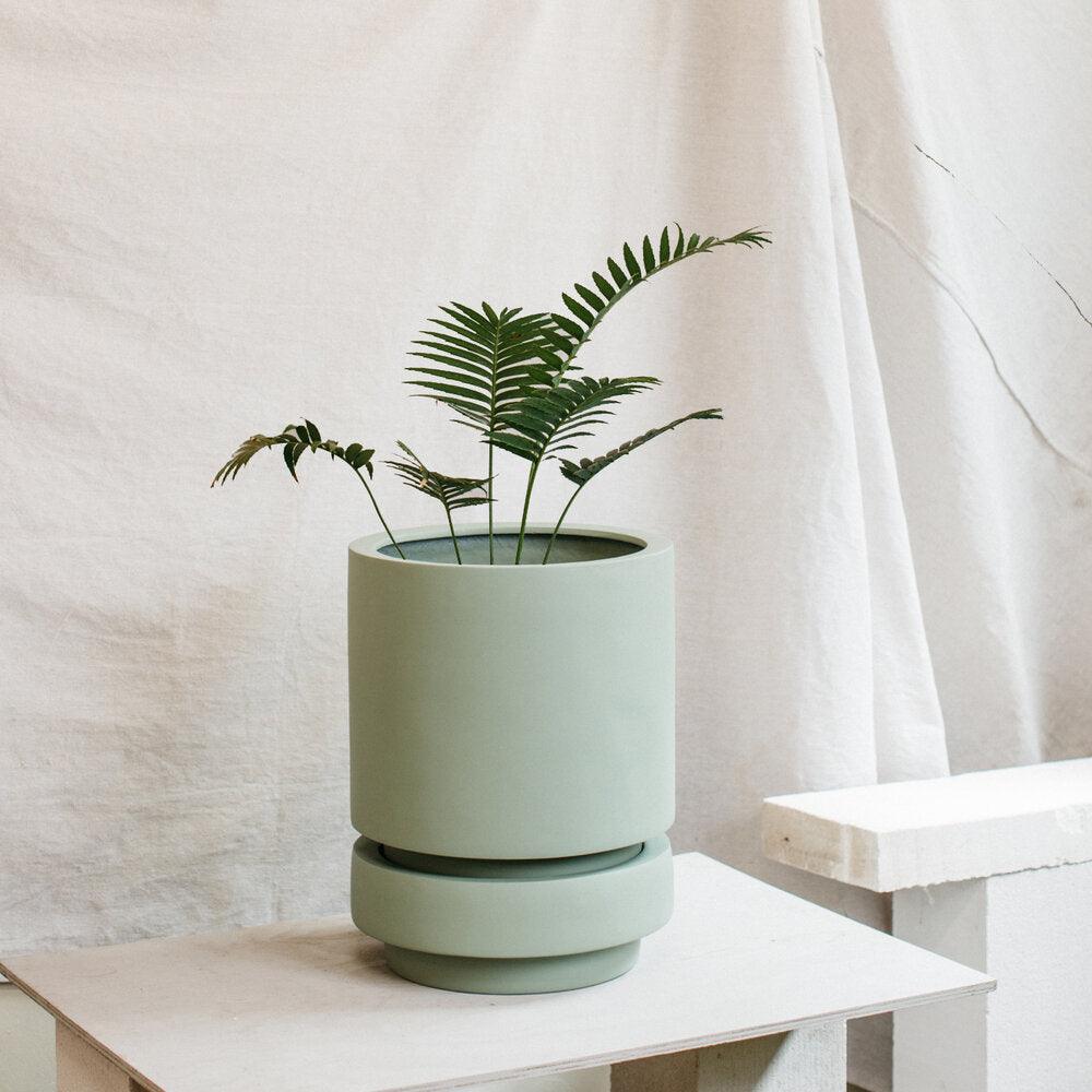 Low Pier Planter by The Plant Society x Capra Designs- Totem Collection - - THE PLANT SOCIETY