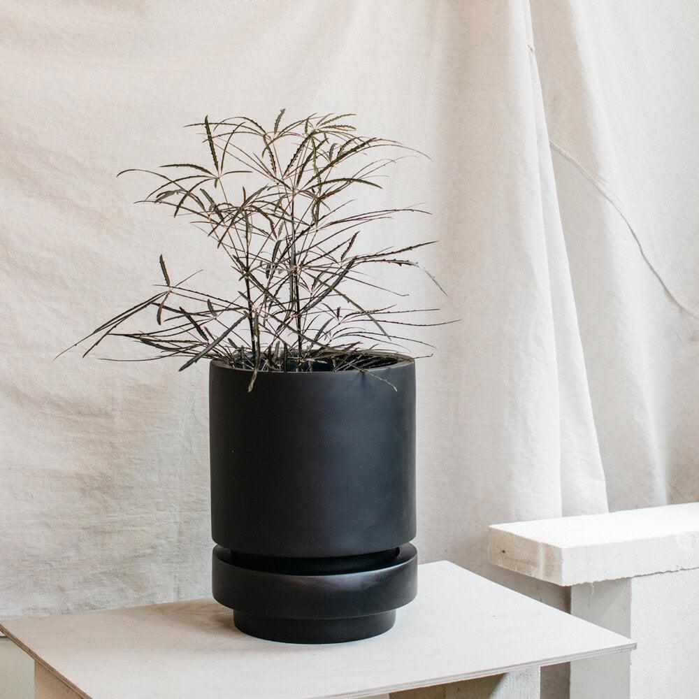 Low Pier Planter by The Plant Society x Capra Designs- Totem Collection - - THE PLANT SOCIETY