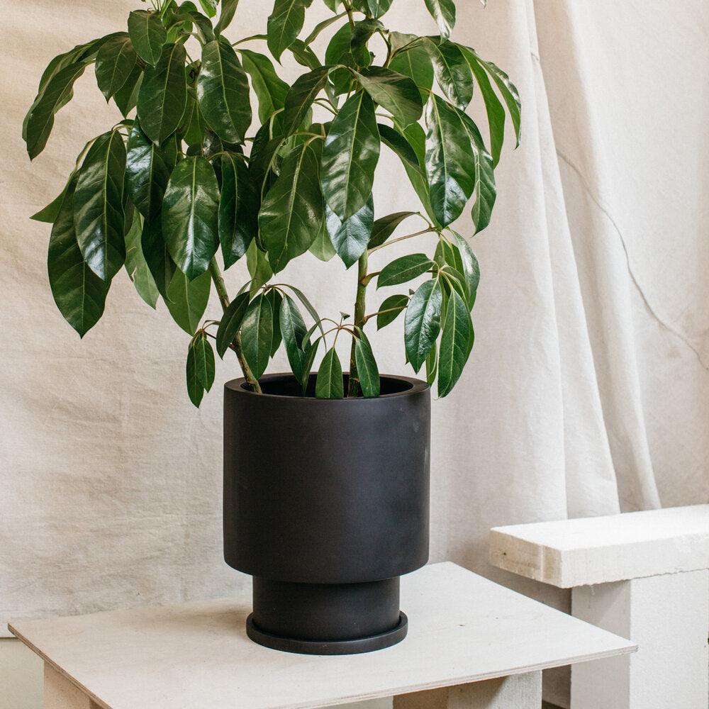Low Tower Planter by The Plant Society x Capra Designs- Totem Collection - - THE PLANT SOCIETY