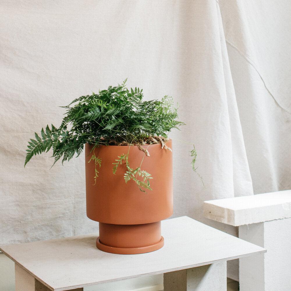 Low Tower Planter by The Plant Society x Capra Designs- Totem Collection - - THE PLANT SOCIETY