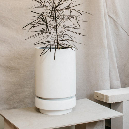 Tall Pier Planter white by The Plant Society