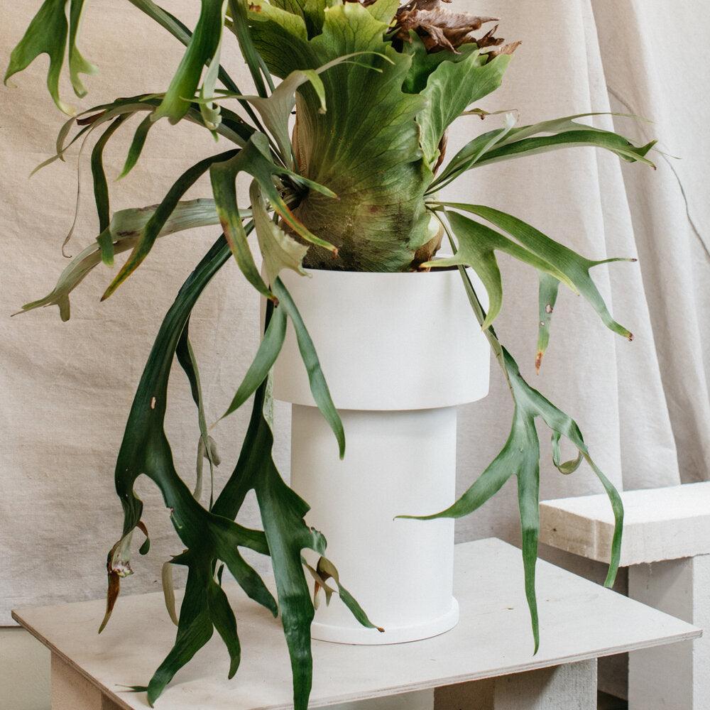 Tall Tower Planter by The Plant Society x Capra Designs- Totem Collection - - THE PLANT SOCIETY