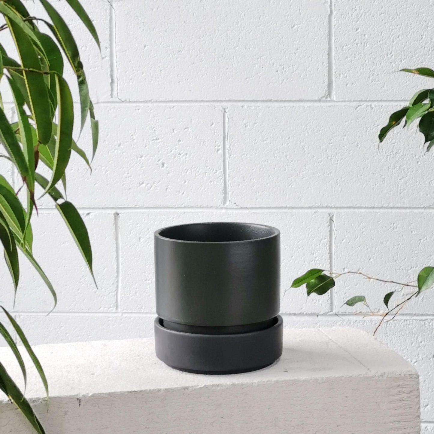 Cora Planter by The Plant Society in Slate - THE PLANT SOCIETY