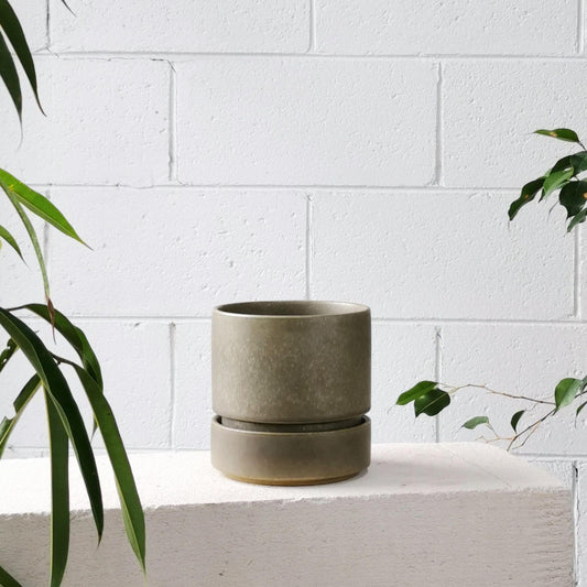 Cora Planter by The Plant Society in Moss - THE PLANT SOCIETY