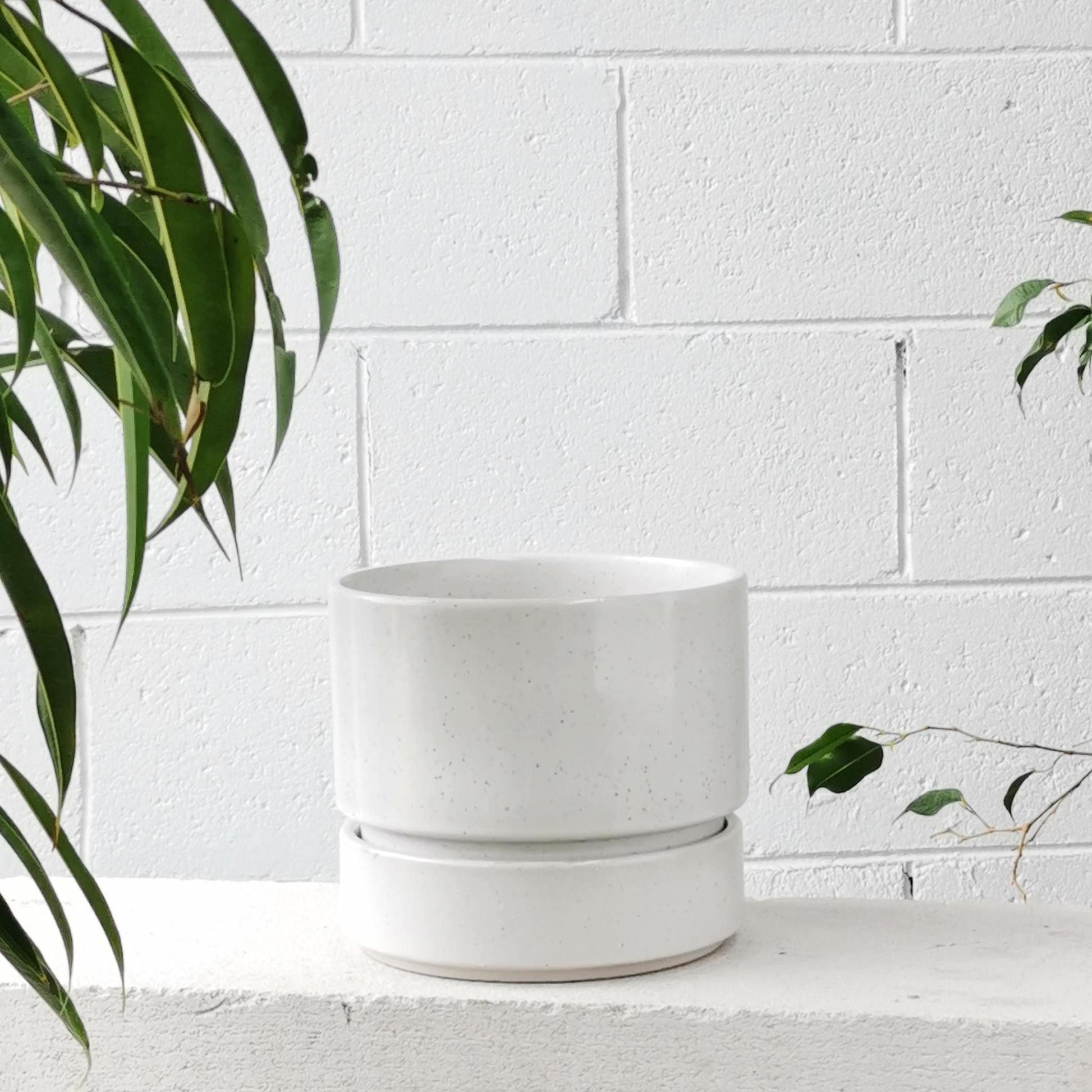 Cora Planter by The Plant Society in Quartz - Gloss - THE PLANT SOCIETY