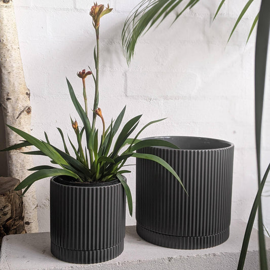 Charcoal Eyre Planter by The Plant Society