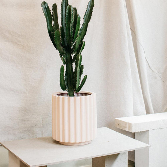 Scallop Planter by The Plant Society x Capra Designs- Totem Collection - - THE PLANT SOCIETY