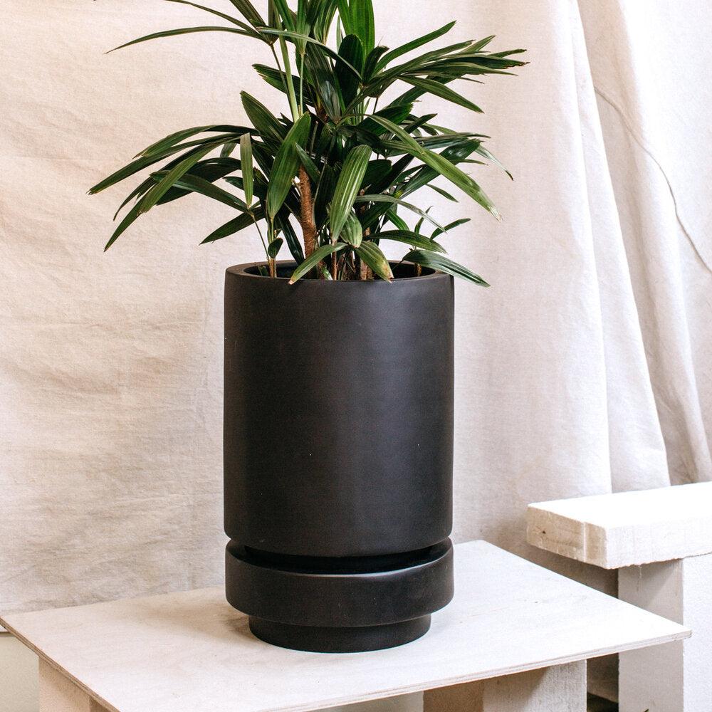 Tall Pier Planter Black  by The Plant Society