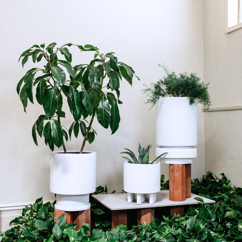 totem planters white by the plant society