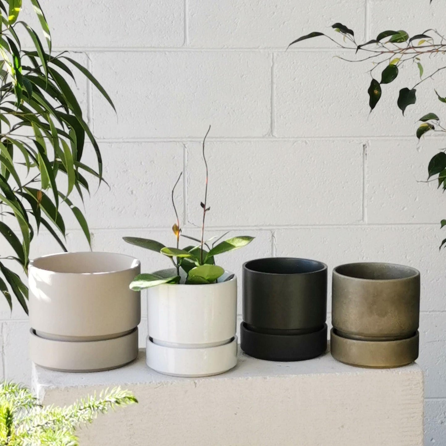 Cora Planter by The Plant Society in Quartz - Gloss - THE PLANT SOCIETY