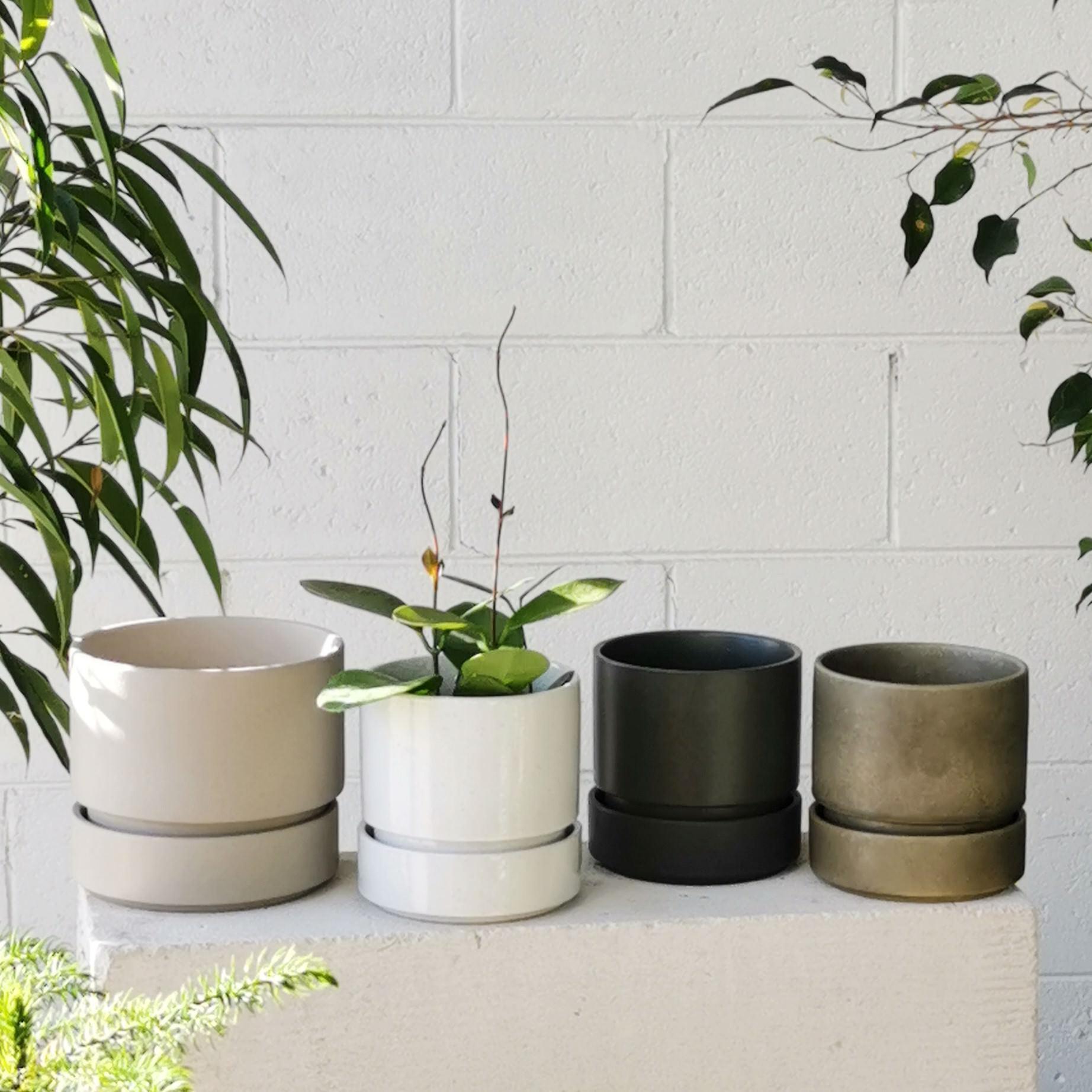 Cora Planter by The Plant Society in Slate - THE PLANT SOCIETY
