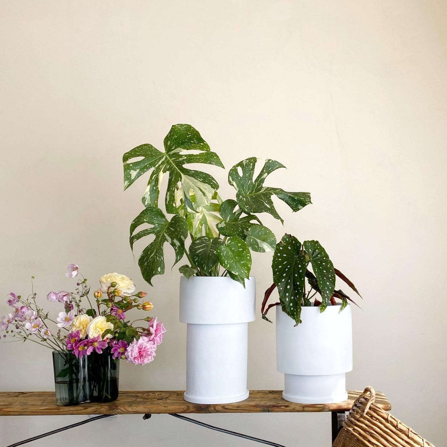 Midi Tall Tower Planter by The Plant Society x Capra Designs- Totem Collection - - THE PLANT SOCIETY
